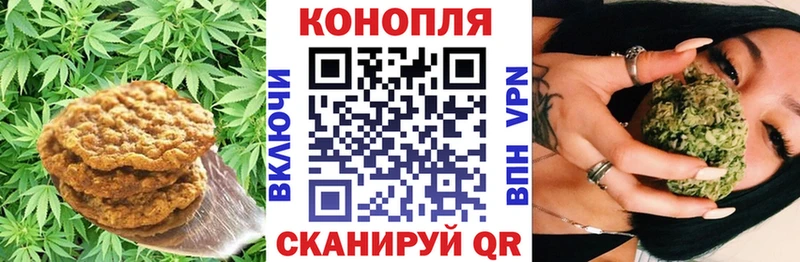 Canna-Cookies конопля сколько стоит Ефремов