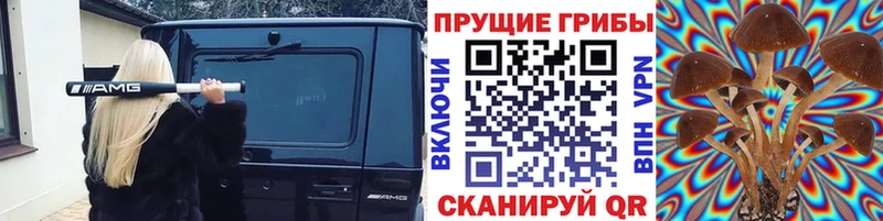 наркошоп  Ефремов  Псилоцибиновые грибы ЛСД 