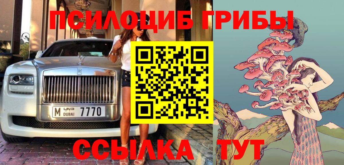 Псилоцибиновые грибы Psilocybine cubensis Ефремов