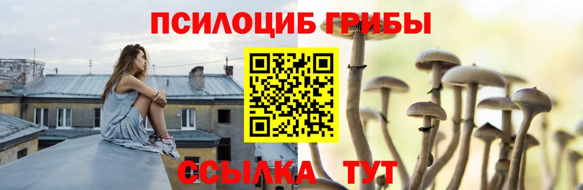 Галлюциногенные грибы MAGIC MUSHROOMS  Вход с VPN  Ефремов 